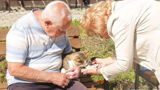 Пансионат Домодедовская (Апаринки) фото 4