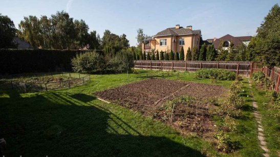 Частный дом престарелых Продвижение фото 3