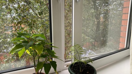 Пансионат «Осень жизни» Марфино фото 5