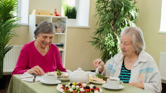 Пансионат «Осень жизни» Дроздово