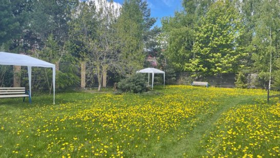 Пансионат «Река жизни» Красногорск фото