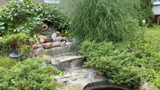 Центр ухода «Доброта» Митино фото