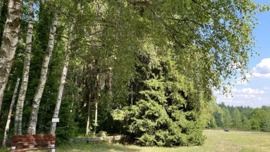 Центр ухода «Доброта» Митино фото 4