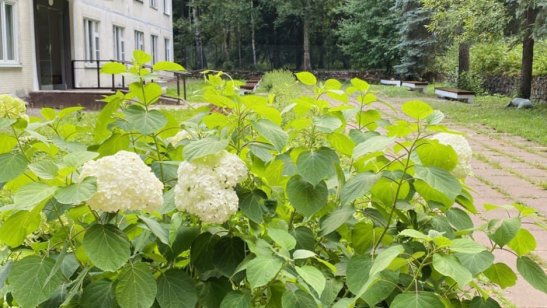 Центр ухода «Доброта» Митино фото 9