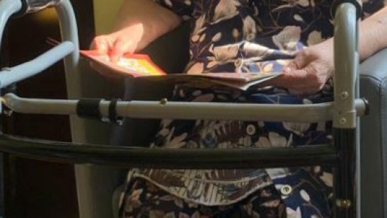 «Долголетие» фото