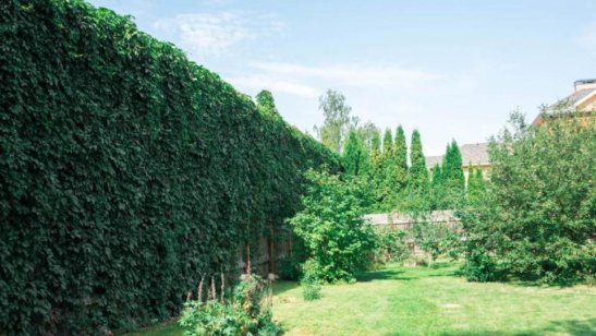 Частный дом престарелых «Теплые беседы» Пенино фото 5