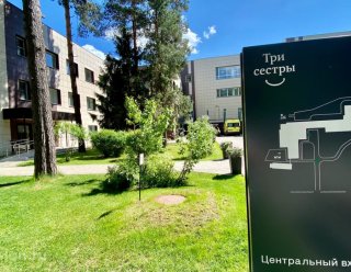 «Три сестры»