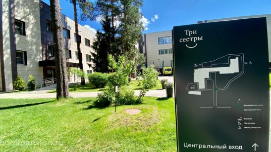 «Три сестры»